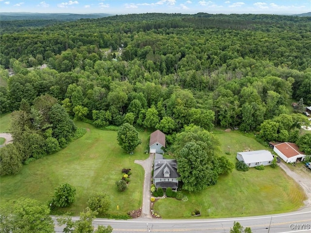2532 State Route 29, Salisbury, NY 13329 - photo 46