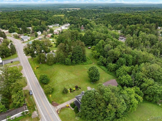 2532 State Route 29, Salisbury, NY 13329 - photo 44