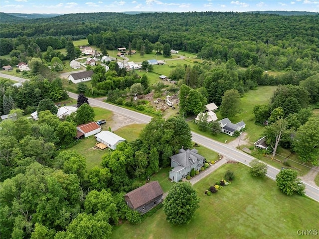 2532 State Route 29, Salisbury, NY 13329 - photo 42