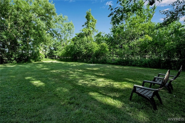 429 Mill St, Amherst, NY 14221 - photo 46