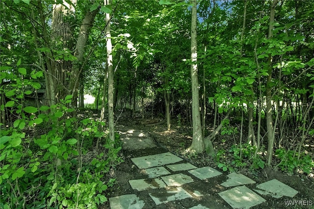 429 Mill St, Amherst, NY 14221 - photo 44
