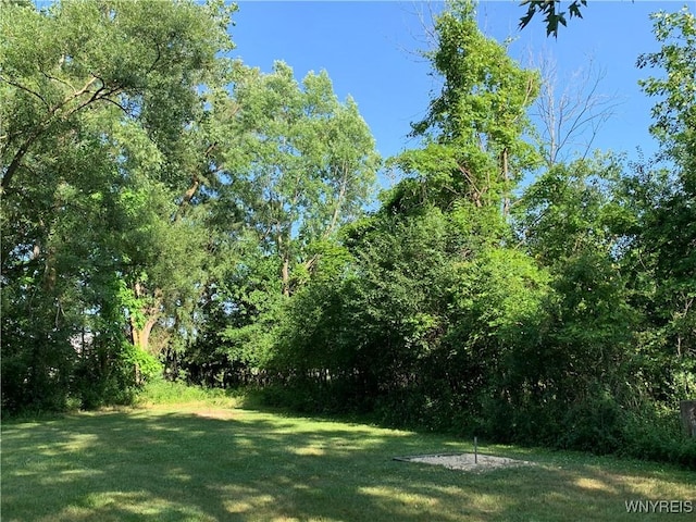 429 Mill St, Amherst, NY 14221 - photo 47