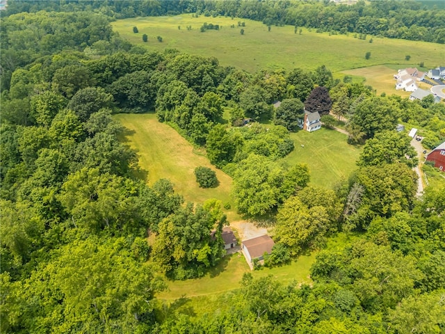 475 Farrell Road Ext, Henrietta, NY 14586 - photo 38