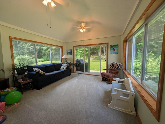 33 Toothman Rd, Lafayette, PA 16738 - photo 32