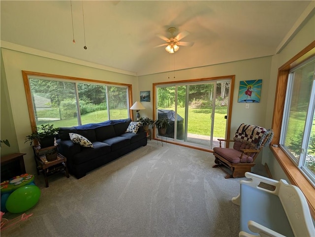 33 Toothman Rd, Lafayette, PA 16738 - photo 33