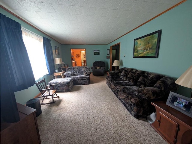 33 Toothman Rd, Lafayette, PA 16738 - photo 23
