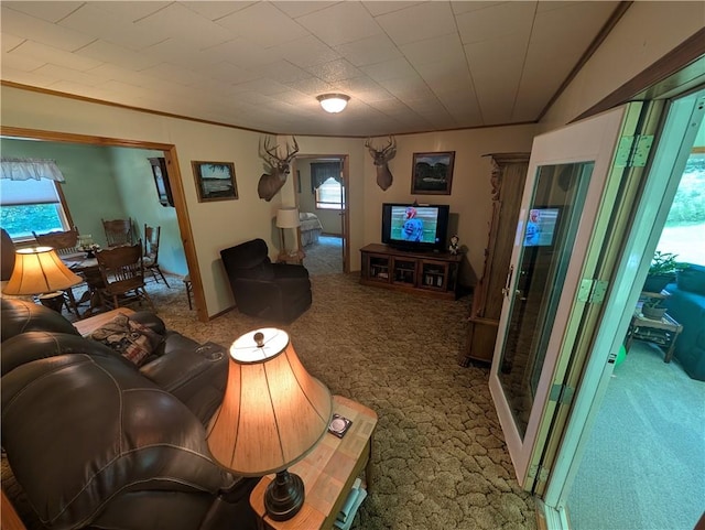 33 Toothman Rd, Lafayette, PA 16738 - photo 25