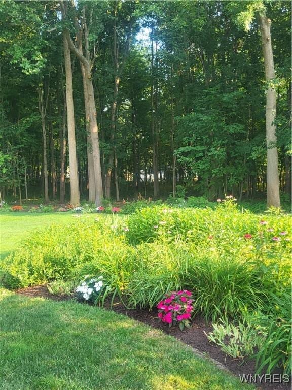 8185 Clarherst Dr, Clarence, NY 14051 - photo 14