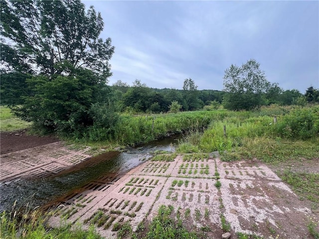 834 Crescent Valley Rd, Bovina, NY 13740 - photo 10