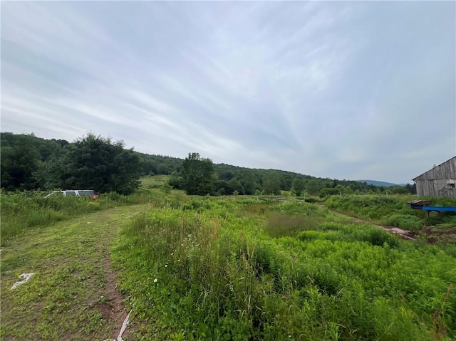 834 Crescent Valley Rd, Bovina, NY 13740 - photo 11