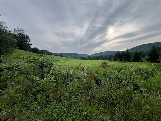 834 Crescent Valley Rd, Bovina, NY 13740 - photo 12