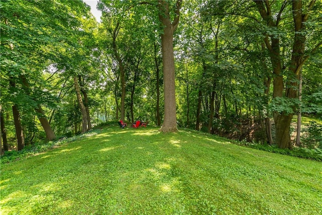 121 Penfield Cres, Penfield, NY 14625 - photo 41