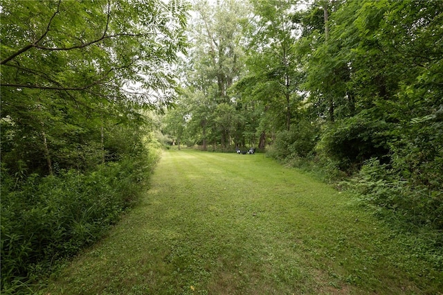31 Rothbury Cir, Victor, NY 14564 - photo 46