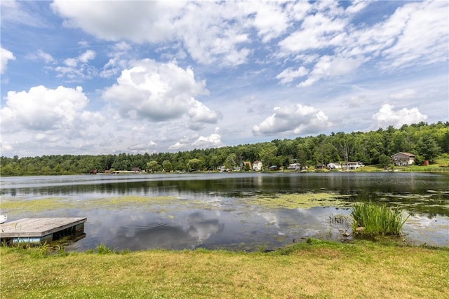 3813 County Route 2, Thurston, NY 14801 - photo 34