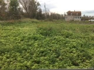 6069 Muck Rd, Rome, NY 13440 - photo 4
