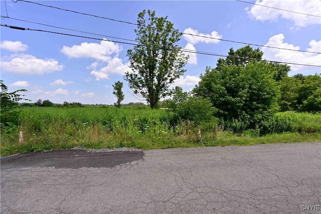 6069 Muck Rd, Rome, NY 13440 - photo 2
