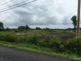 6069 Muck Rd, Rome, NY 13440 - photo 8