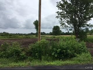 6069 Muck Rd, Rome, NY 13440 - photo 10