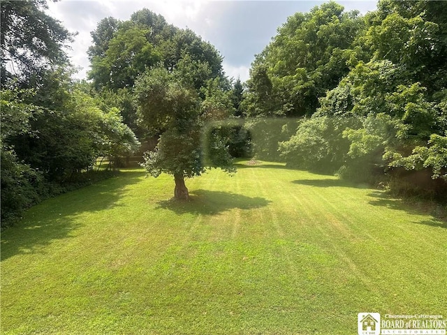 11973 Chestnut St, Perrysburg, NY 14129 - photo 25