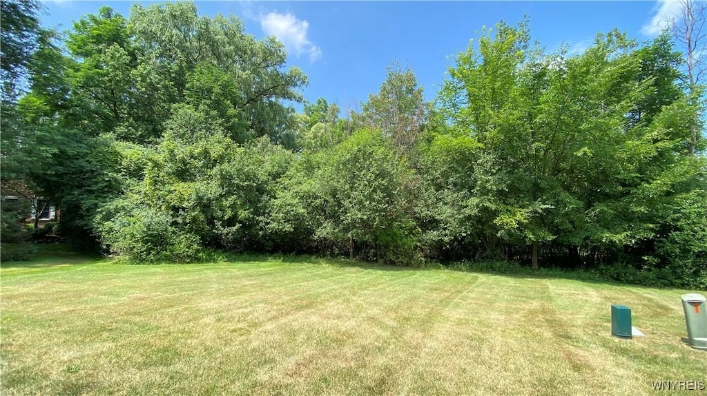 119 Fox Meadow Ln, Orchard Park, NY 14127 - photo 1