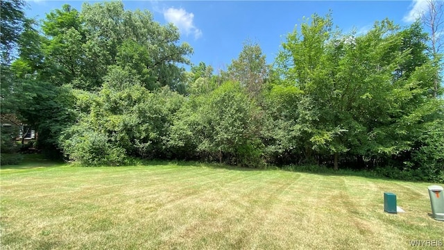 119 Fox Meadow Ln, Orchard Park, NY 14127 - photo 1