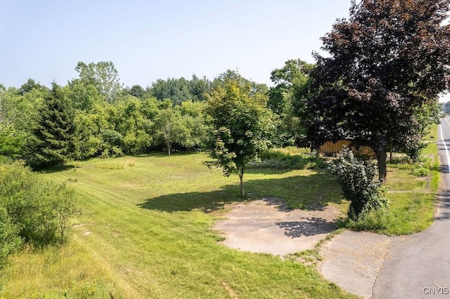 2652 Johnson Rd, Oswego, NY 13126 - photo 43