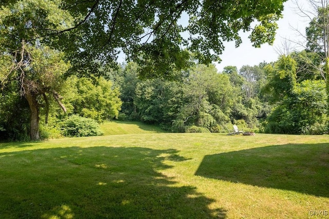 2652 Johnson Rd, Oswego, NY 13126 - photo 47