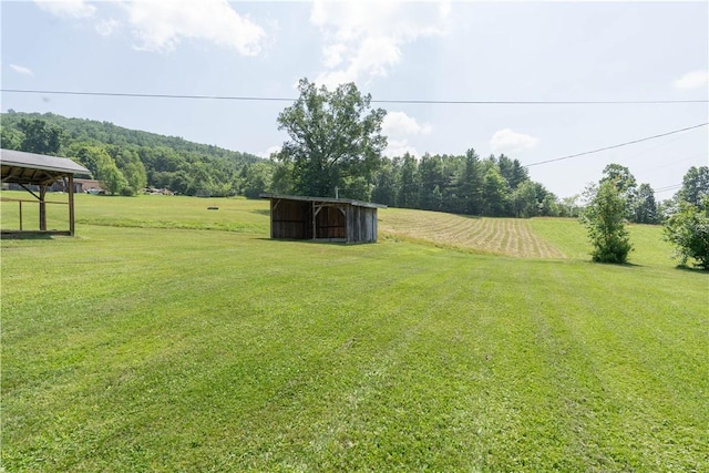 6354 Whitcomb Rd, Bath, NY 14879 - photo 40