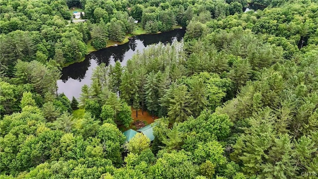 331 Pardee Rd, Russia, NY 13438 - photo 27
