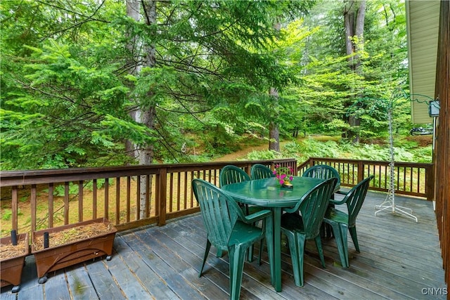 331 Pardee Rd, Russia, NY 13438 - photo 22