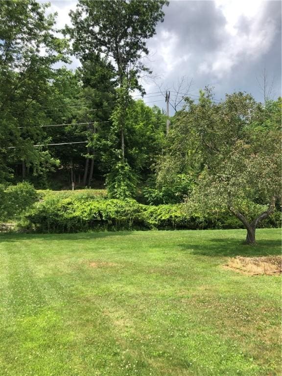 15 Spencer Dr, Oneonta, NY 13820 - photo 27