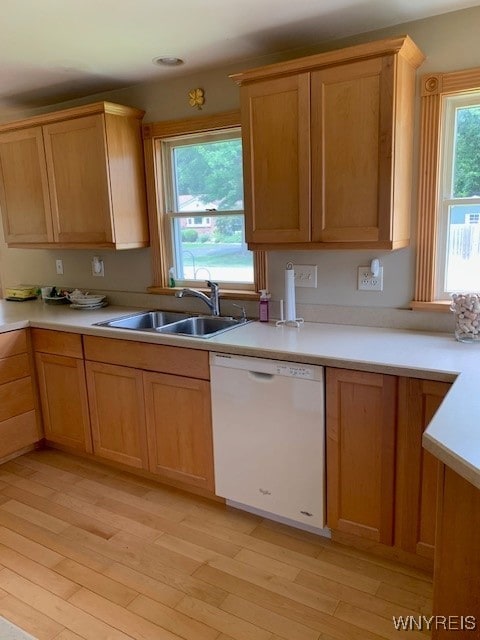 4441 E E Overlook Dr, Clarence, NY 14221 - photo 9