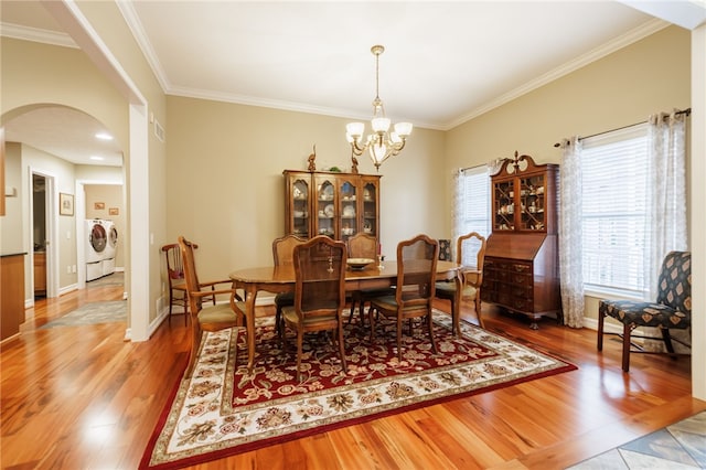 151 Dangelo Pkwy, Avon, NY 14414 - photo 8