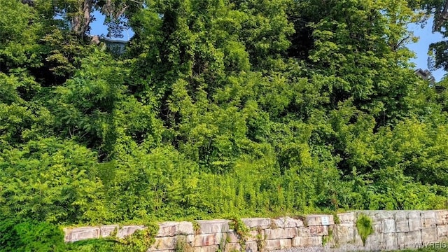 Water St, Porter, NY 14174 - photo 3
