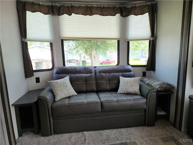 11609 State Route 3 Unit 25, Henderson, NY 13605 - photo 11