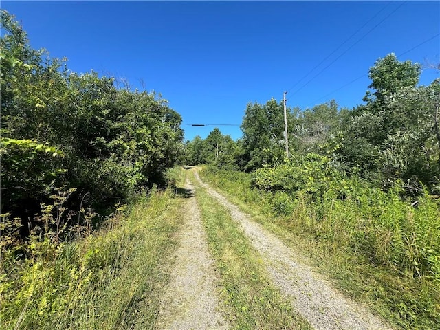 3843 Pre-Emption Rd, Tyrone, NY 14891 - photo 1