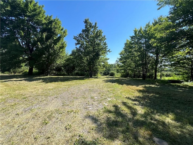 3843 Pre-Emption Rd, Tyrone, NY 14891 - photo 2
