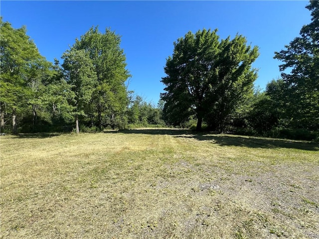 3843 Pre-Emption Rd, Tyrone, NY 14891 - photo 3