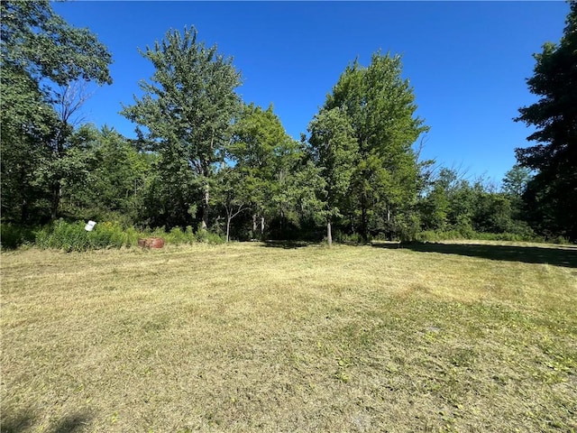 3843 Pre-Emption Rd, Tyrone, NY 14891 - photo 4