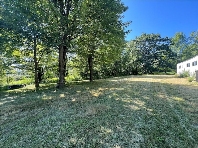 3843 Pre-Emption Rd, Tyrone, NY 14891 - photo 6