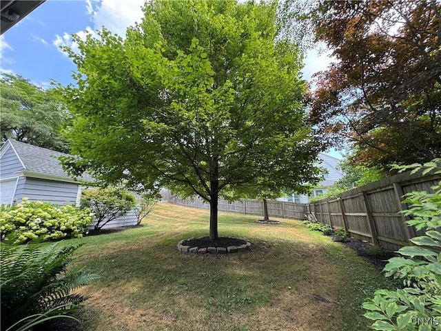 209 Cornwall Dr, Dewitt, NY 13214 - photo 44