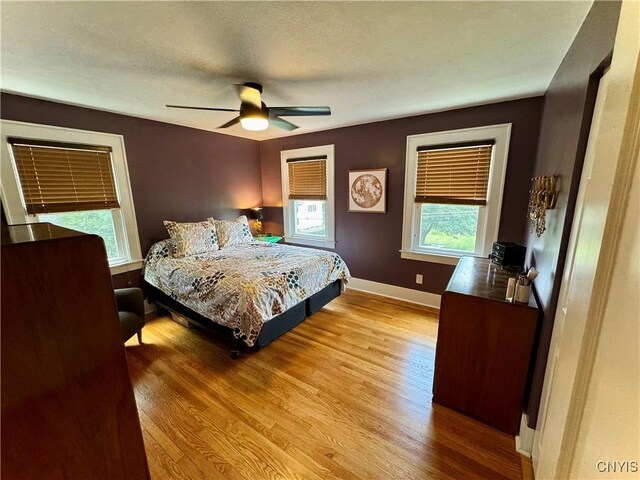 209 Cornwall Dr, Dewitt, NY 13214 - photo 32