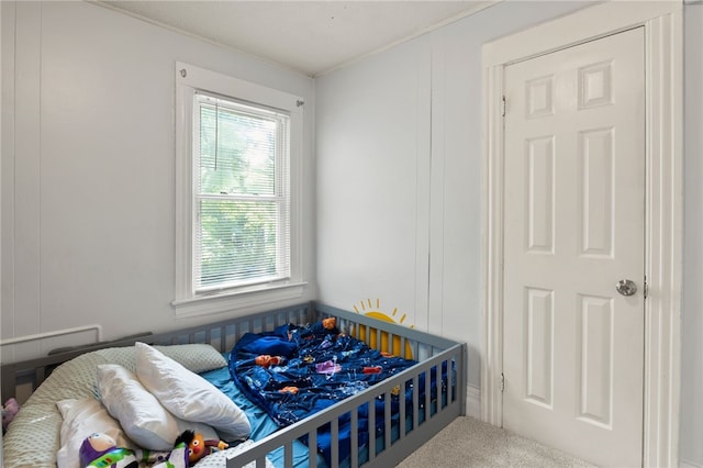 25 Peck St, Rochester, NY 14609 - photo 16