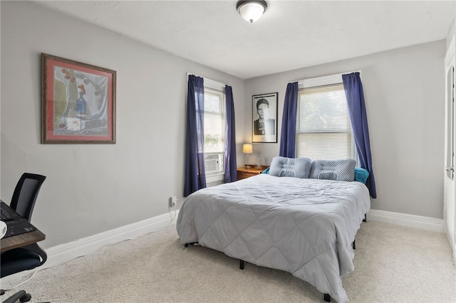 25 Peck St, Rochester, NY 14609 - photo 22