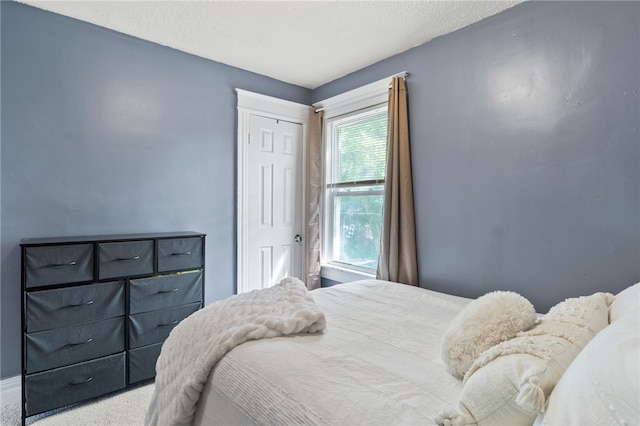 25 Peck St, Rochester, NY 14609 - photo 27