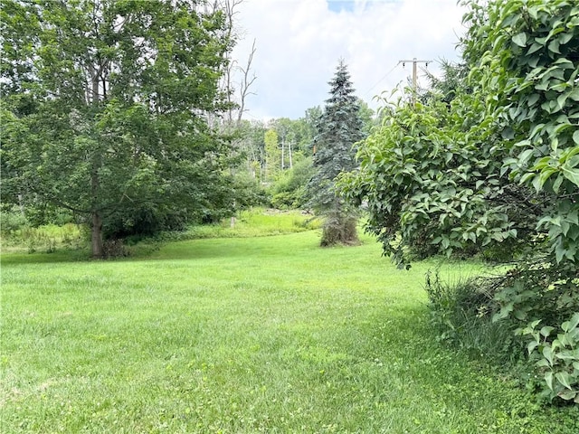848 Miller St, Skaneateles, NY 13152 - photo 47
