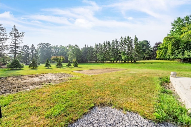 68 Rolling Woods Ln, West Seneca, NY 14224 - photo 47