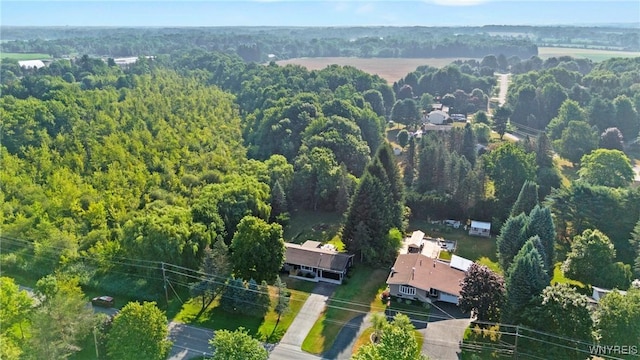 893 Townline Rd, Marilla, NY 14059 - photo 40