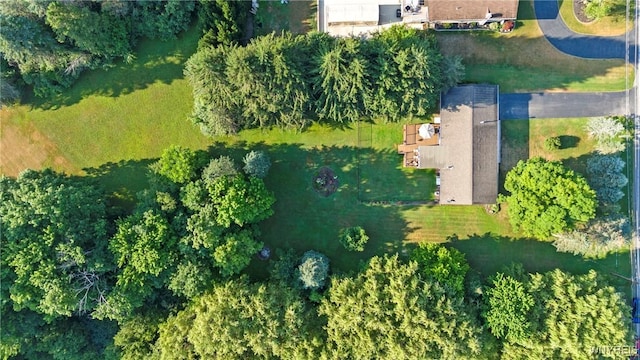 893 Townline Rd, Marilla, NY 14059 - photo 42