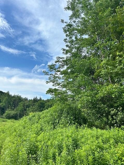 85 Crawford Rd, Hamden, NY 13782 - photo 6